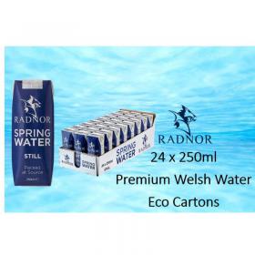 Radnor Hills Spring Still Water 24 x 250ml NWT4445