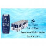 Radnor Hills Spring Still Water 24 x 250ml NWT4445