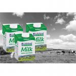 Lakeland Semi Skimmed Milk 12x500ml NWT4604