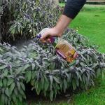 In the photo, the Garden Maintenance Defenders Cat & Dog Scatter Spray is shown in a 1000ml bottle. The packaging is labeled with the brand name and a product description. The spray is designed to keep pets out of gardens and plants safe.