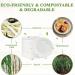 Belgravia Bio CaterPack 9 Inch Rigid Plates Pack 50s - PACK (20) NWT4755P