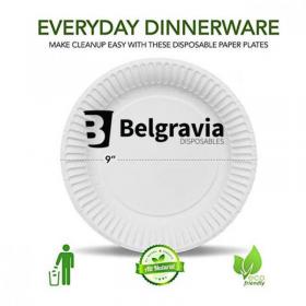 Disposable Paper Plates by Belgravia Disposables (23cm, 9”) 100 Plates NWT487