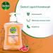 Dettol Grapefruit Hand Wash 250ml NWT5007