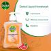 Dettol Grapefruit Hand Wash 250ml NWT5007