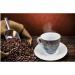 Fixtures Design Espresso Cup & Saucer 12 Piece Set NWT5049