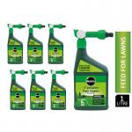 Miracle-Gro Evergreen Fast Green Spray & Feed 1 Litre - PACK (12) NWT5072P