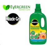 MiracleGro Pour & Feed RTU 1 Litre