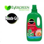 MiracleGro Rose & Shrub 1L Green