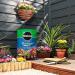 Miracle-Gro Premium Moisture Control Potting Compost 10 litre NWT5185