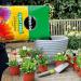 Miracle-Gro All Purpose Compost 20 Litre NWT5207