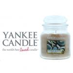 Yankee Candle Seaside Woods Medium Jar 411g NWT5281