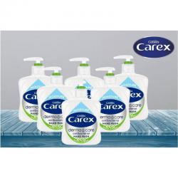 Carex Antibacterial Derma Care Moisture Handwash 250ml NWT5297