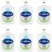 Carex Antibacterial Moisture Handwash 250ml - PACK (6) NWT5297P