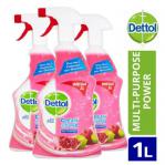 Dettol Power & Fresh Pomegranate & Lime Spray 1 Litre NWT5299