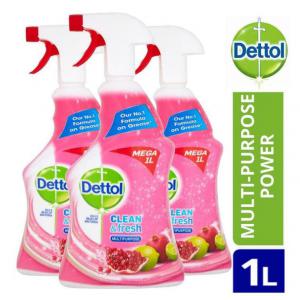 Click to view product details and reviews for Dettol Power Fresh Pomegranate Spray 1 Litre Pack 6 Nwt5299p.