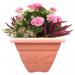 Wham Vineyard Terracotta Square Planter 32cm H236 NWT5354