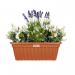 Wham Mocha Trough 60cm (H190) - PACK (10) NWT5355P