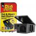 Big Cheese Rat & Mouse Bait Station (STV179) - PACK (6) NWT5435P