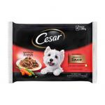Cesar Deliciously Fresh Dog Pouches Favourite Recipes in Sauce 4x100g NWT5489