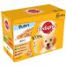 Pedigree Puppy Pouches Mixed Varieties in Jelly 12x100g NWT5529