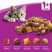 Whiskas 1+ Cat Complete Dry with Chicken 340g  NWT5548