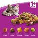 Whiskas 1+ Cat Complete Dry with Chicken 340g NWT5548