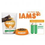 This image shows a 800g pack containing five pouches of IAMS for Vitality adult cat food, specifically for adult cats. The flavor is lamb, and the packaging is NWT5659P. This high-quality cat food is perfect for keeping your feline friend healthy and happy.