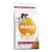 IAMS for Vitality Small/Medium Senior Dog Food Fresh Chicken 12kg NWT5670