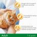 IAMS for Vitality Adult Cat Food Fresh Chicken 800g - PACK (5) NWT5737P