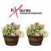 Fixtures Half Barrel Cask Tan 40cm x 27cm Medium Planter NWT5900