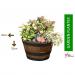 Fixtures Half Barrel Cask Tan 51cm x 31cm Large Planter NWT5903