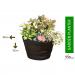 Fixtures Half Barrel Cask Brown 51cm x 32cm Large Planter NWT5904