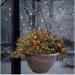 Fixtures Copper Large Hanging Basket 37cm x 20cm NWT5909