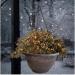 Fixtures Copper Effect Large Garden Hanging Basket 37cm x 20cm NWT5909