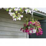 In the photo, a white hanging basket measuring 25cm x 16cm is displayed. The basket is filled with colorful flowers and plants, adding a touch of vibrancy to a beautiful garden space. This hanging basket would make a lovely addition to any fixtures business or homewares store.