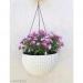 Fixtures Beige Rattan Hanging Basket 25cm x 16cm NWT5912