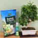 Westland Bonsai Potting Compost Mix and Enriched with Seramis 4 Litre - PACK (12) NWT6009P