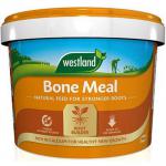 A photo of Westland Garden Health Garden Maintenance shows a bag of Westland Bonemeal Root Builder, weighing 8kg and labeled NWT6015, sitting in a lush and well-maintained garden. The bag features green and gold packaging with clear and bold lettering.