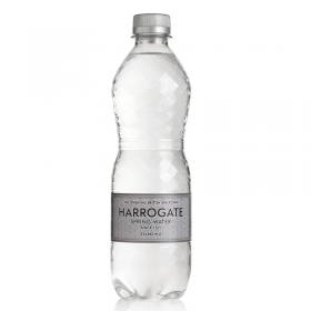 Harrogate Sparkling Spring Water 500ml Plastic Bottle (Pack of 24) NWT603