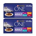 Purina ONE Adult Cat Food Mixed Mini Fillets in Gravy 40x85g NWT6053