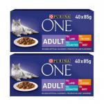 The photograph features a variety of Purina ONE Adult Cat Food Mixed Mini Fillets in Gravy packaged in a 40x85g container. The colorful packaging stands out against a neutral background, showcasing the high-quality pet supplies from Purina.