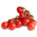 Power Grow Tomato Food 1 Litre NWT6090