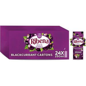 Ribena Ready to Drink Blackcurrant 24x250ml NWT6171