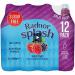 Radnor Splash Sugar Free Lemon & Lime 12x500ml NWT6260