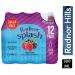 Radnor Splash Sugar Free Forest Fruits 24x500ml NWT6261
