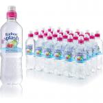 Radnor Splash Sugar Free Apple & Raspberry 24x500ml NWT6262