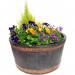 Oakwood Large 49cm Barrel Planter GN653 NWT6279