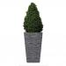 Fixtures Glaze Wave MEDIUM Planter Grey NWT6415