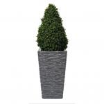 Fixtures Glaze Wave LARGE Planter Grey NWT6416