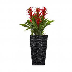Fixtures Glaze Wave MEDIUM 42cm Planter Black NWT6417